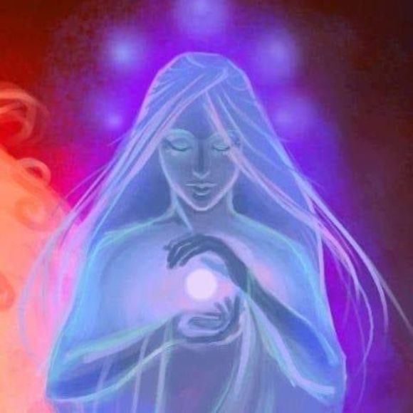 Meet your Posher, Lucia - Picture 1 of 1